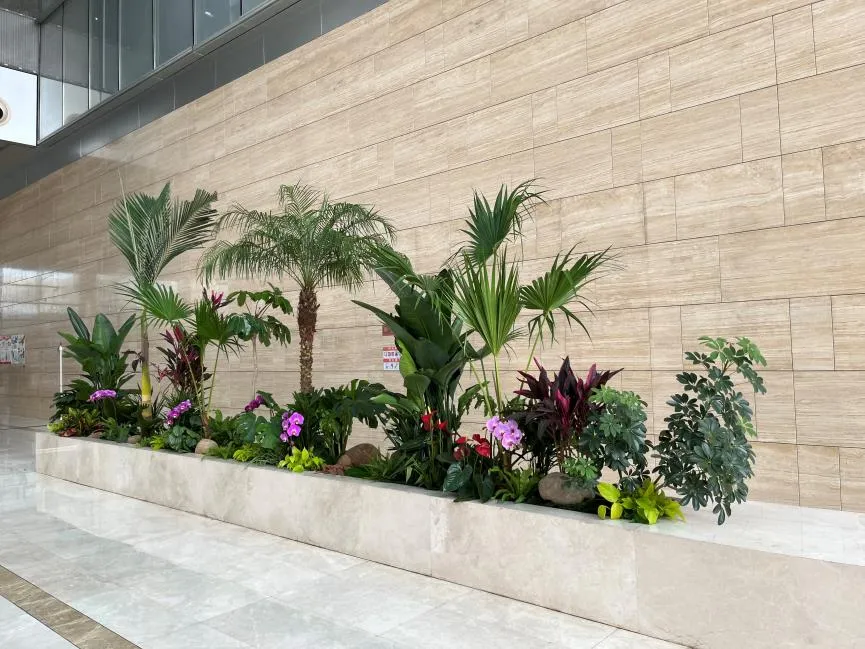 惊艳！北仑花木出租设计，点亮你的独特场地